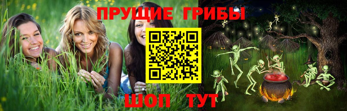 Галлюциногенные грибы MAGIC MUSHROOMS Камышин